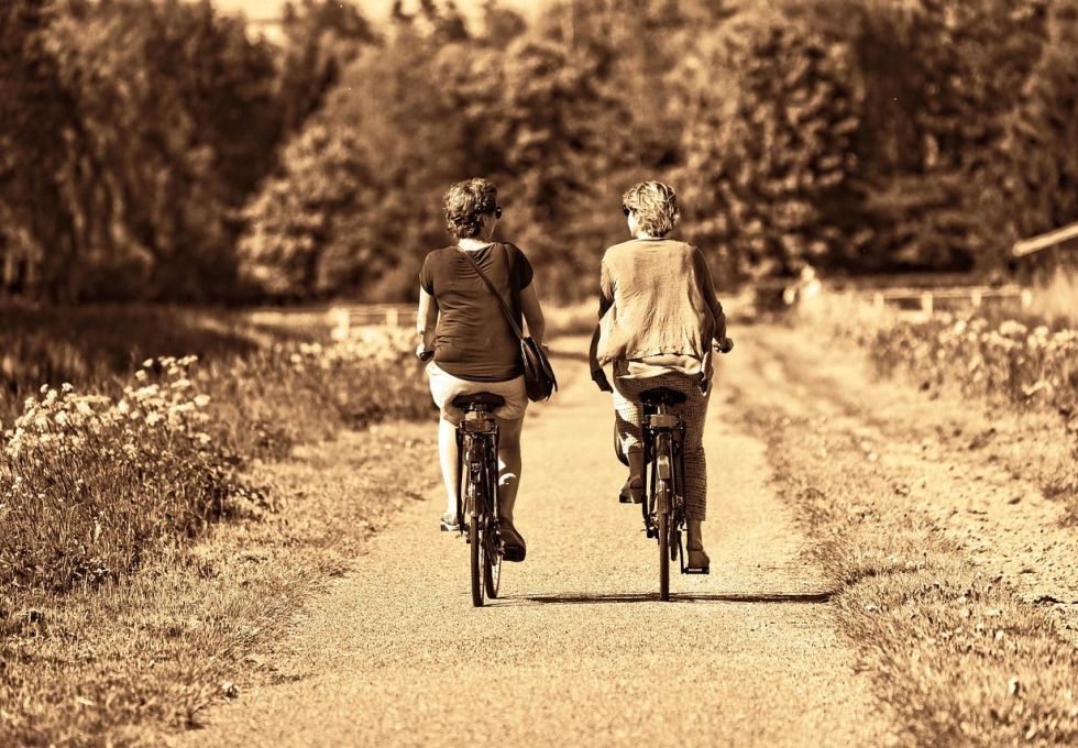 What happens if my Executor passes away? Appointing a Back-Up Executor 
